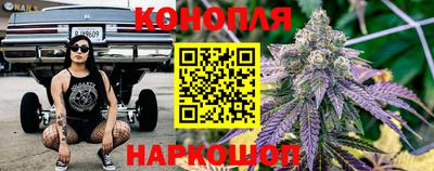 круглые Кингисепп